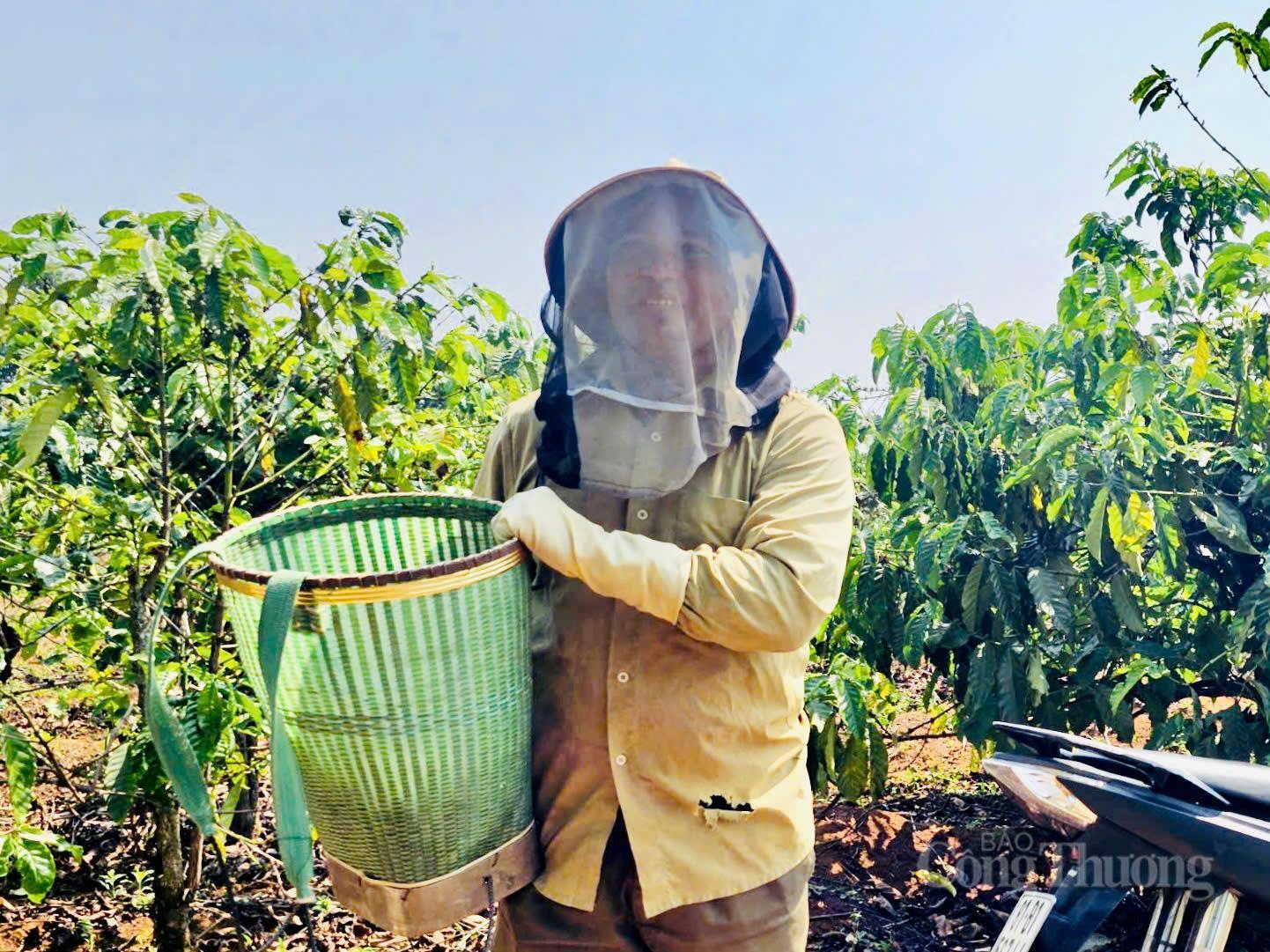 Theo chân người Jrai đi săn 'lộc rừng' - 1