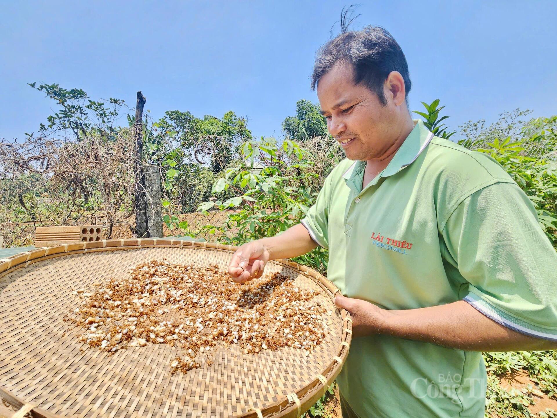 Theo chân người Jrai đi săn 'lộc rừng' - 5