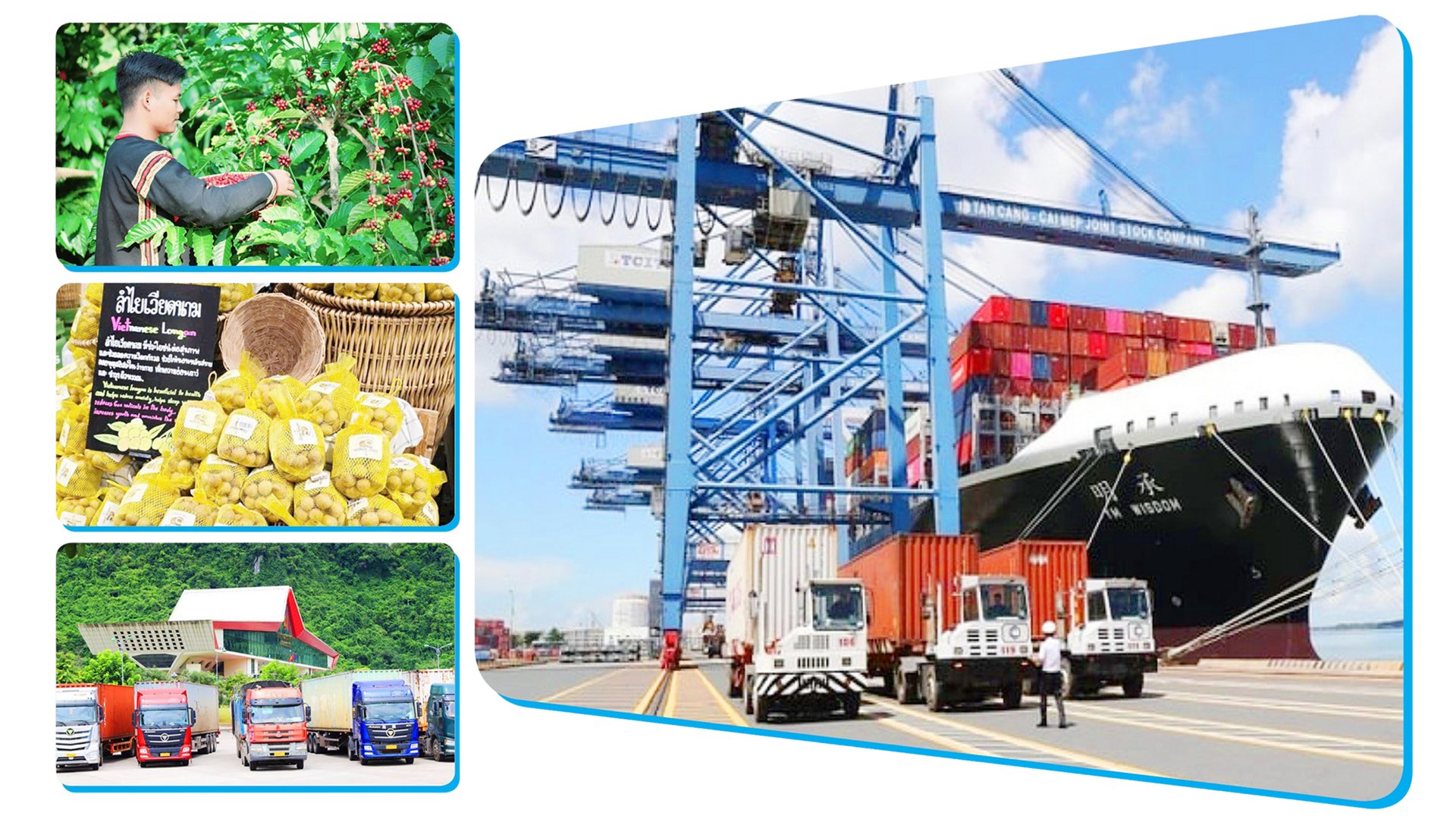 Từ ký ức tem phiếu đến vị thế hàng xuất khẩu Việt Nam  - 12