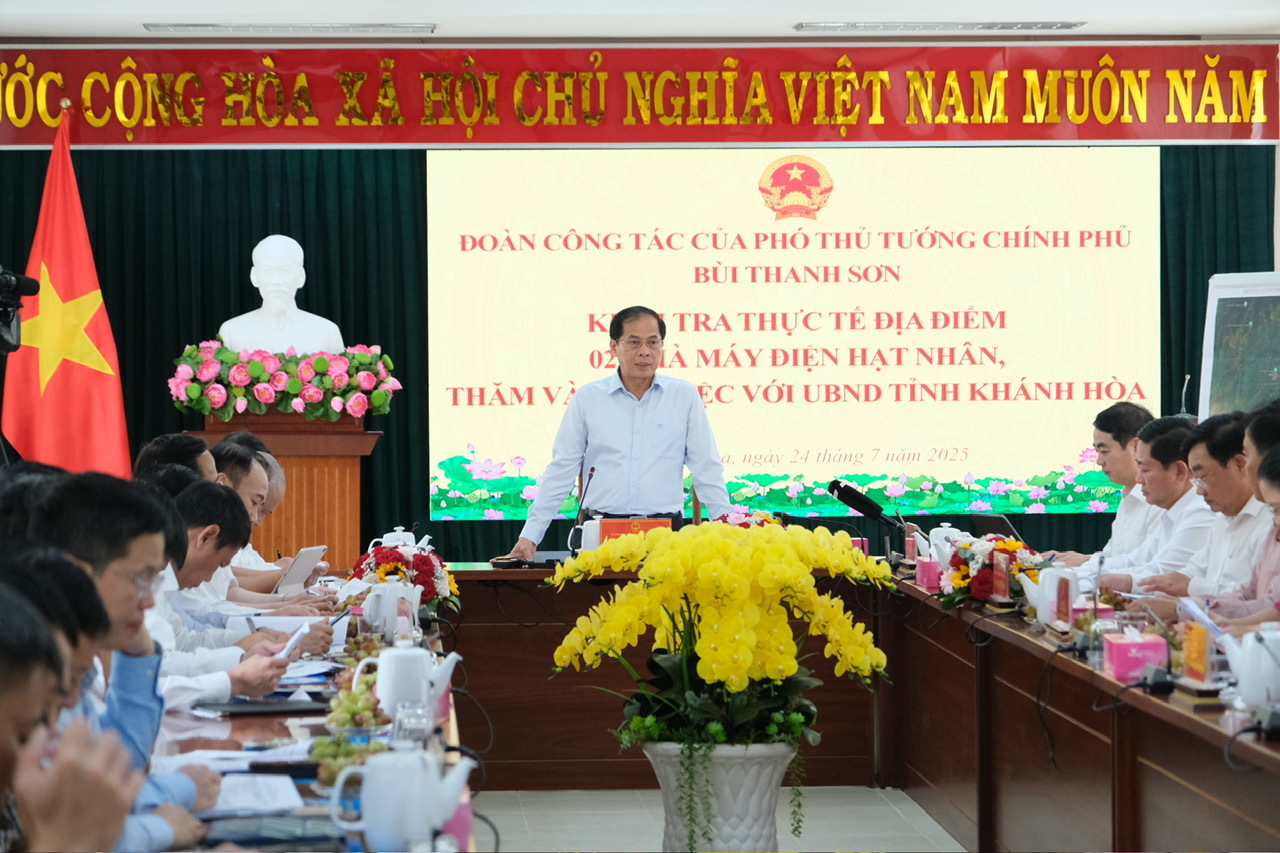 Điện hạt nhân Ninh Thuận: Từ 'giấc ngủ dài' đến guồng quay tái khởi động - 3