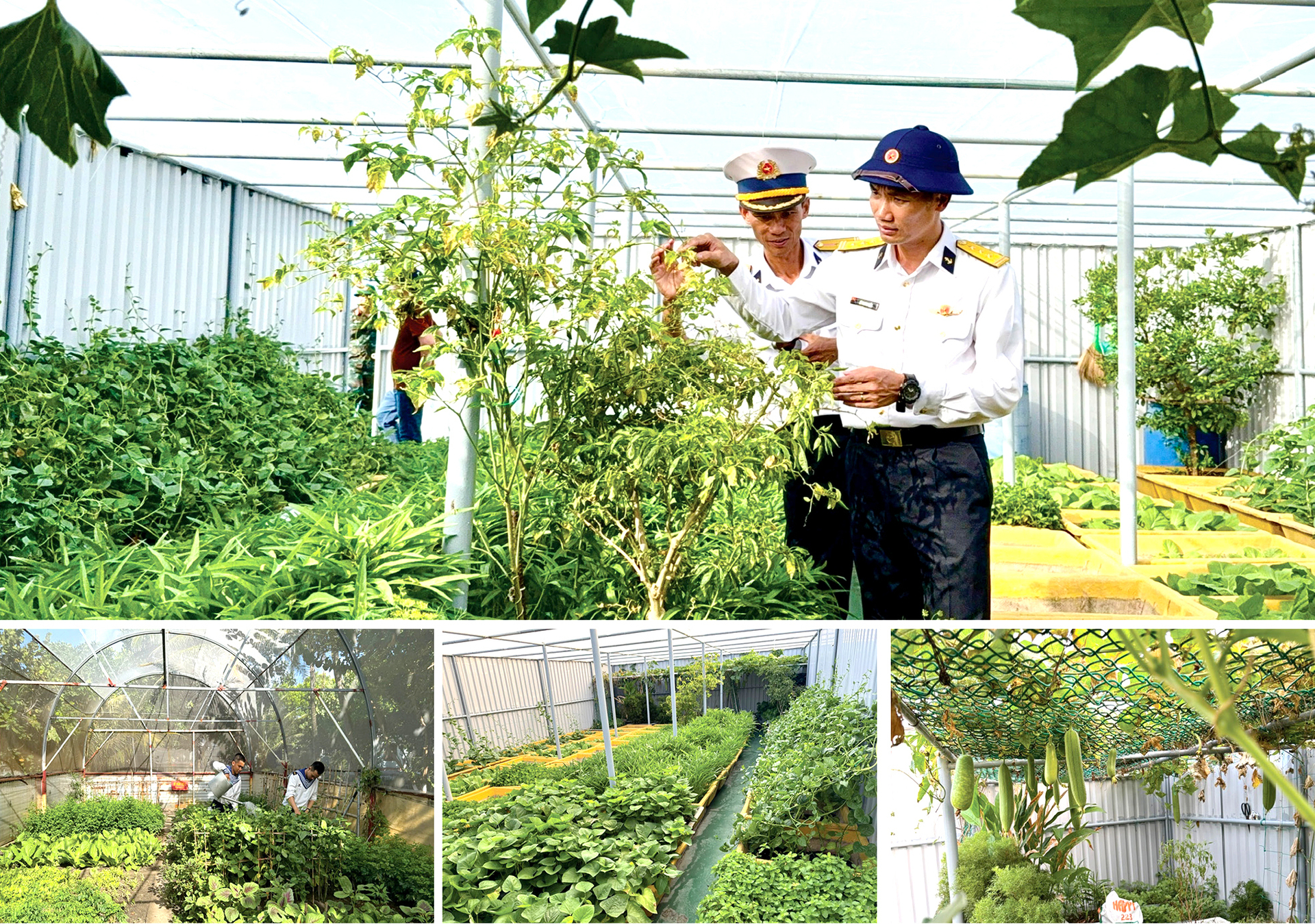 Trường Sa - nơi Tổ quốc hiện hữu giữa trùng khơi - 4