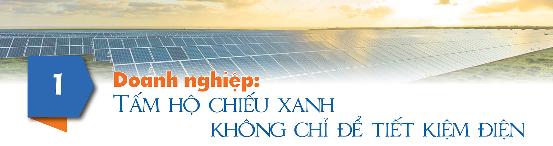 Đánh thức điện mặt trời mái nhà phương Nam: Kỳ 3 - Từ nhà xưởng đến mái nhà dân, lợi ích đong bằng tiền - 2