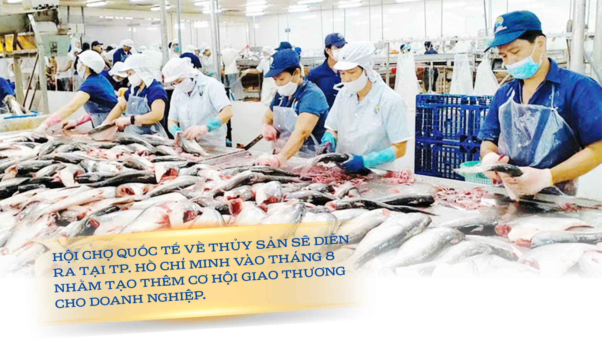 Longform | Tăng lực đẩy xuất khẩu từ xúc tiến thương mại - 6