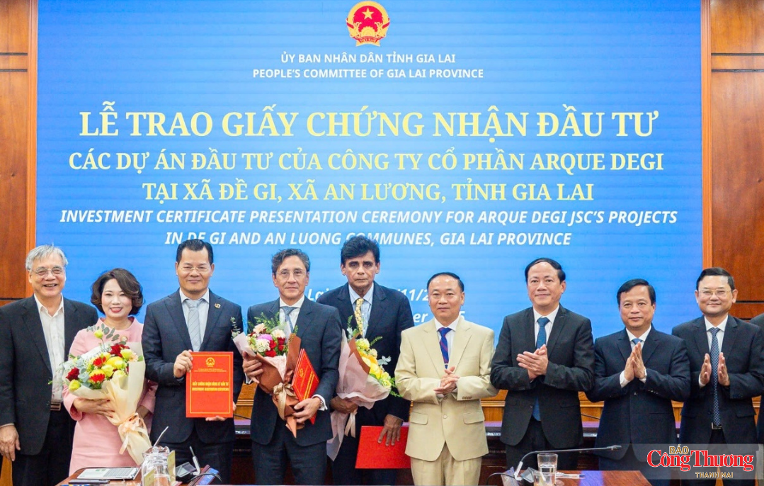 Gia Lai trong ‘tầm ngắm’ của các tập đoàn toàn cầu - Kỳ 1: Điểm đến của FDI chất lượng cao - 12
