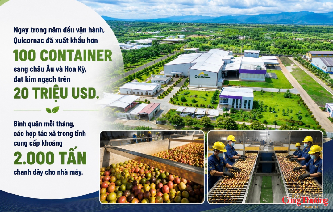 Gia Lai trong ‘tầm ngắm’ của các tập đoàn toàn cầu - Kỳ 1: Điểm đến của FDI chất lượng cao - 2