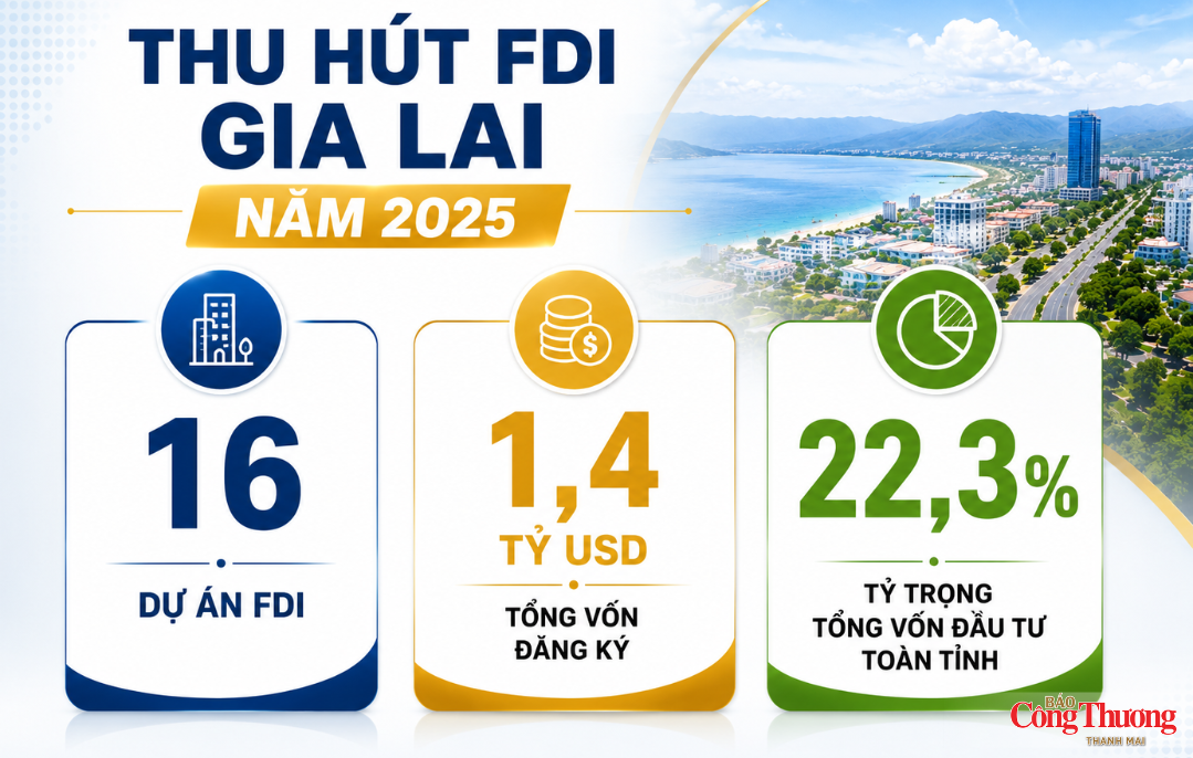 Gia Lai trong ‘tầm ngắm’ của các tập đoàn toàn cầu - Kỳ 1: Điểm đến của FDI chất lượng cao - 10
