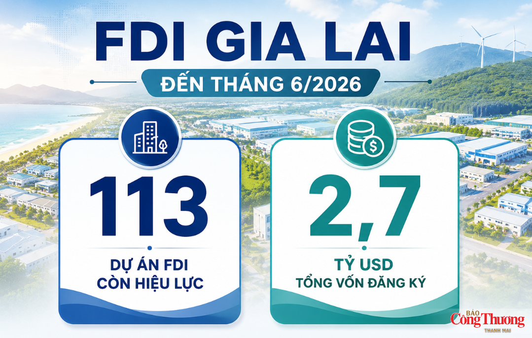 Gia Lai trong ‘tầm ngắm’ của các tập đoàn toàn cầu - Kỳ 1: Điểm đến của FDI chất lượng cao - 11