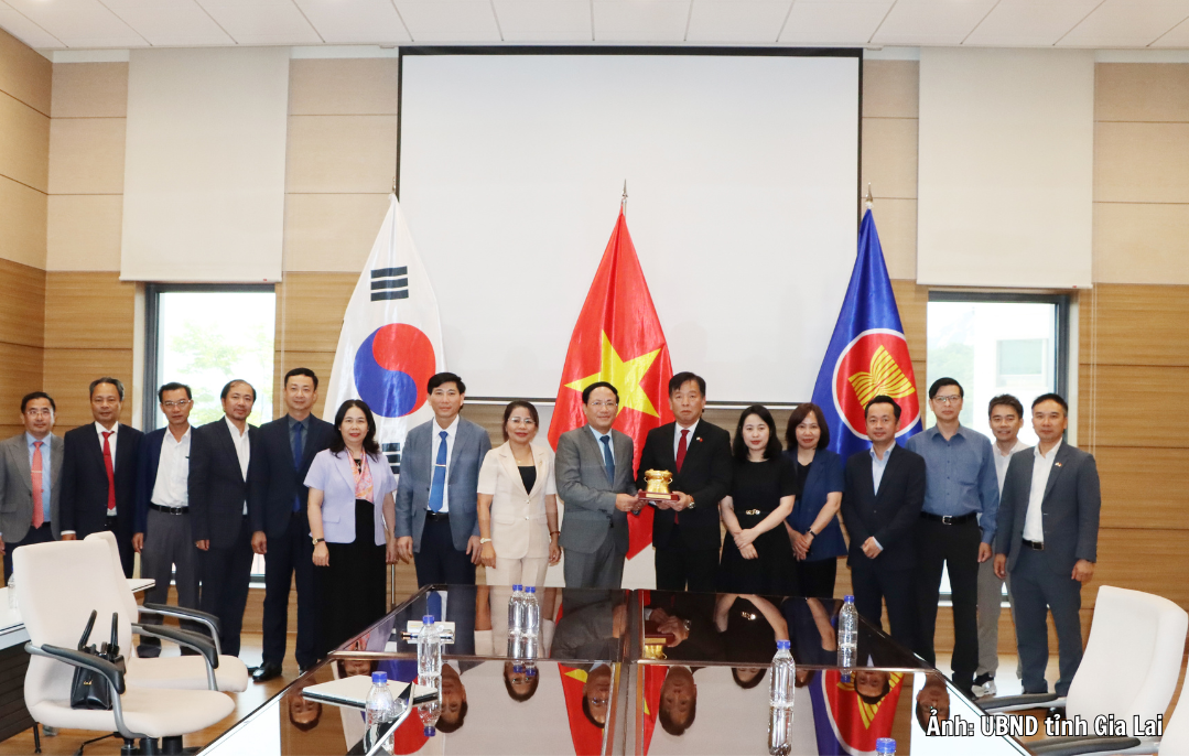 Gia Lai trong ‘tầm ngắm’ của các tập đoàn toàn cầu - Kỳ 2:  Chuyển mình để đón 'đại bàng' - 8
