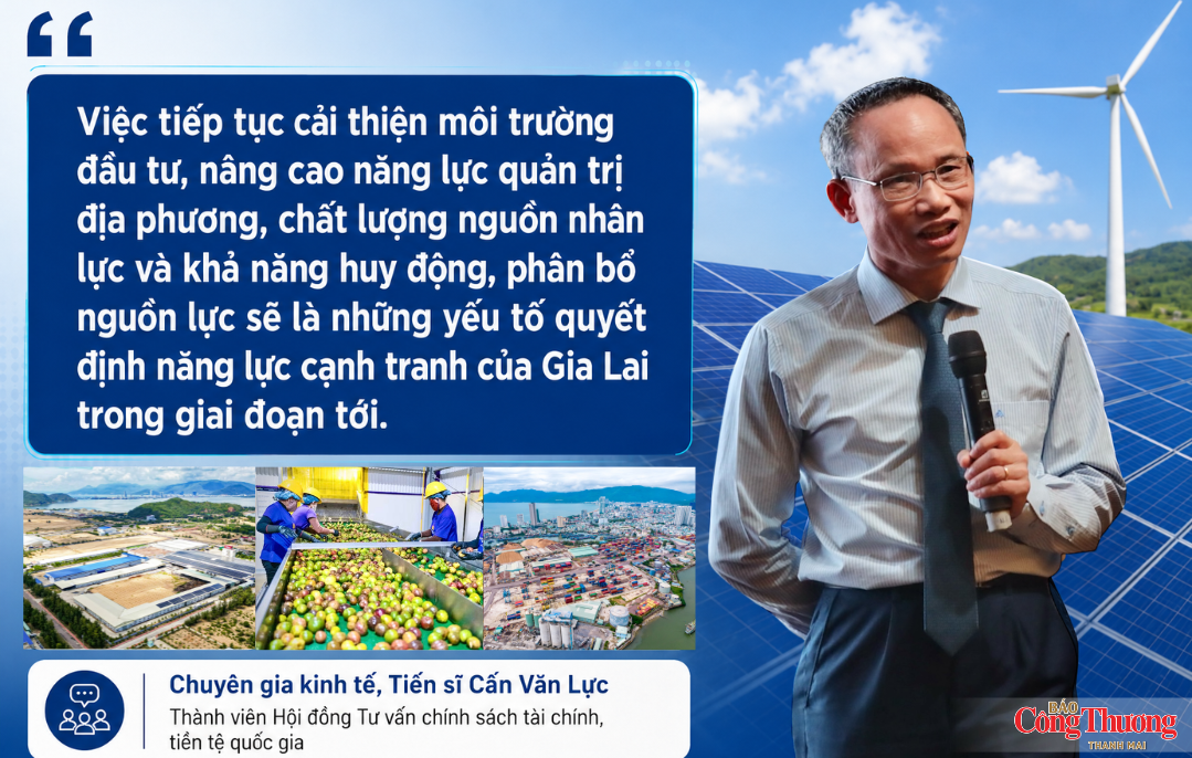 Gia Lai trong ‘tầm ngắm’ của các tập đoàn toàn cầu - Kỳ cuối: Làm gì để giữ chân nhà đầu tư? - 7