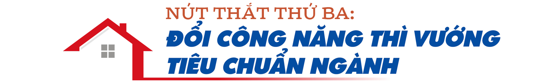 Không để lãng phí công sản: Nhìn từ cuộc thanh tra nhà đất lớn nhất - 9