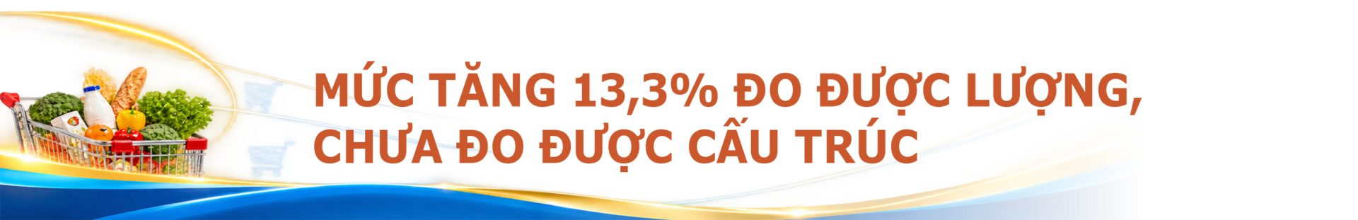 Công Thương Việt Nam trong bức tranh toàn cầu đầu năm 2026 - Bài 7: Sức mua và túi tiền người Việt - 13