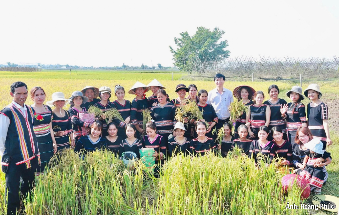 Gia Lai: An Phú nâng cao hiệu quả nguồn lực chương trình mục tiêu quốc gia vùng đồng bào dân tộc thiểu số - 6