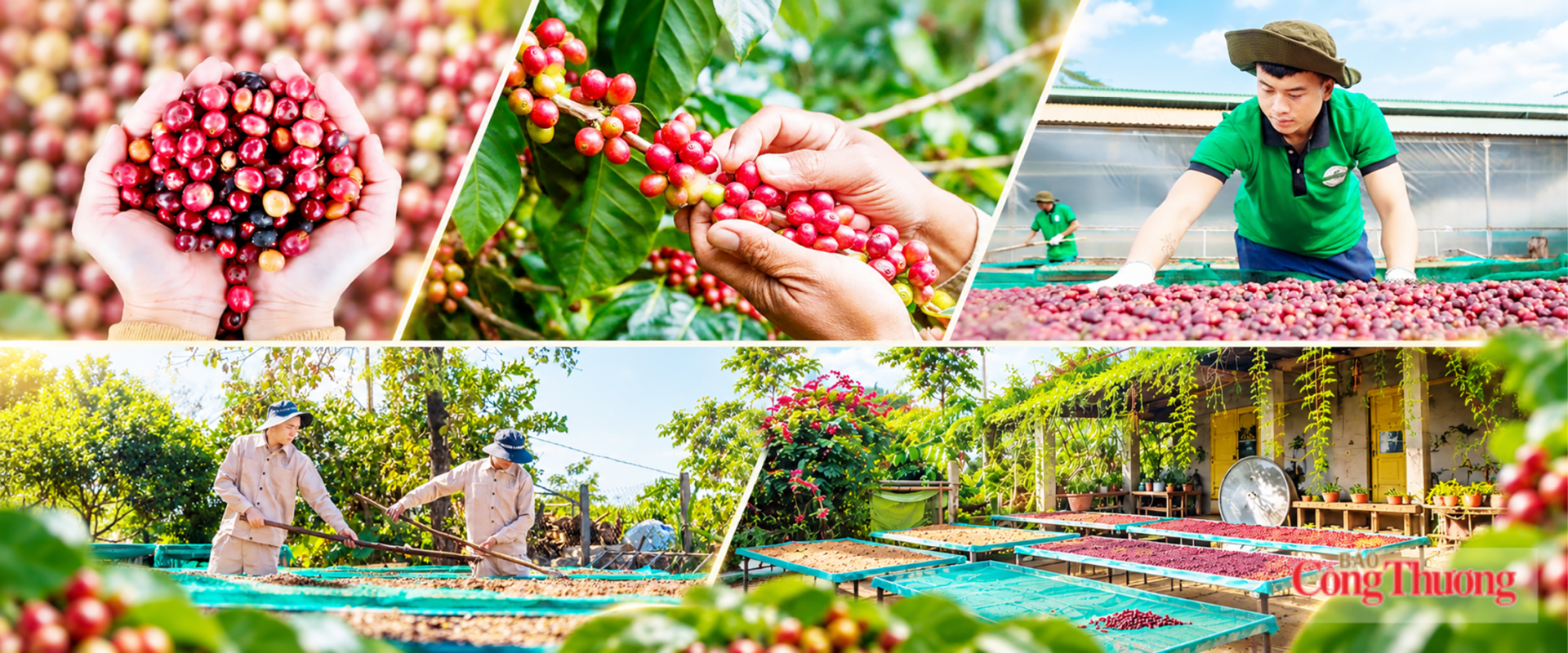 Bảo hiểm giá cho hàng Việt: Quốc hội bàn Luật Giao dịch hàng hoá phái sinh - Bài 1: Mười một điều luật cho thị trường 7.500 tỷ đồng mỗi phiên - 10