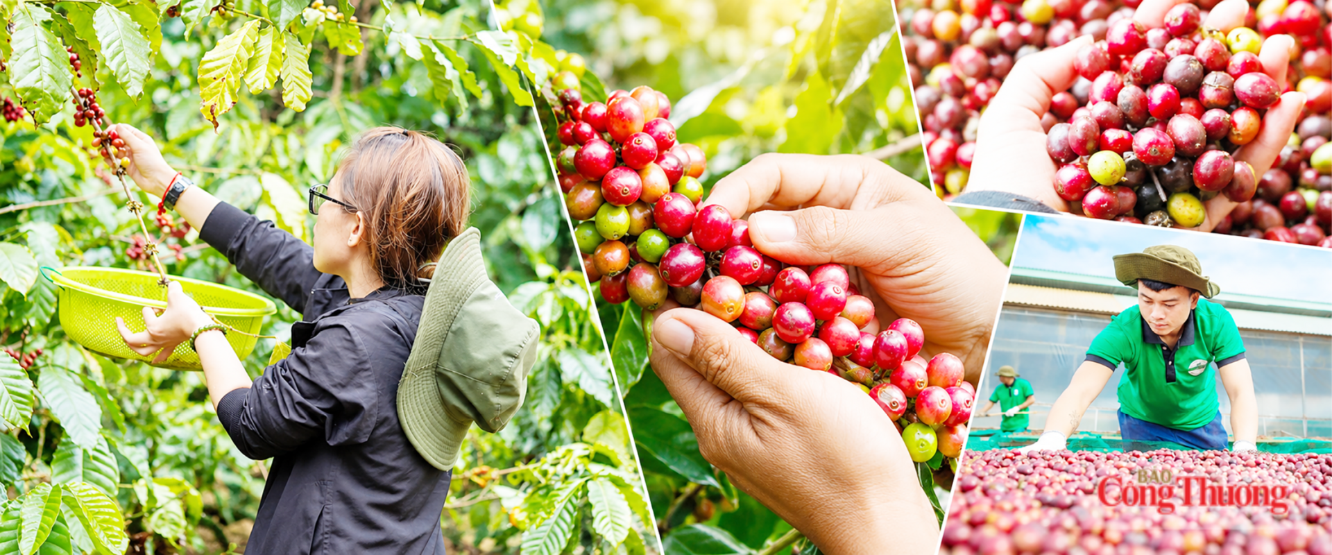 Bảo hiểm giá cho hàng Việt: Quốc hội bàn Luật Giao dịch hàng hoá phái sinh - Bài 1: Mười một điều luật cho thị trường 7.500 tỷ đồng mỗi phiên - 3