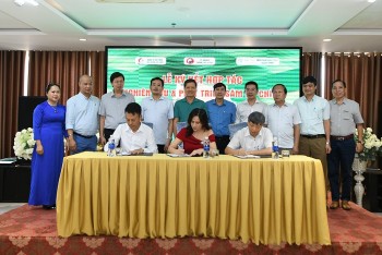 Phát triển sâm Bố Chính Quảng Bình nhằm nâng tầm vị thế của dược liệu Việt Nam