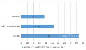 Giá heo hơi hôm nay 22/8: Tăng 1.000 đồng/kg