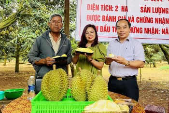 Đắk Lắk chuẩn bị chào đón Lễ hội Sầu riêng