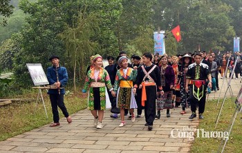 Nhiều hoạt động 