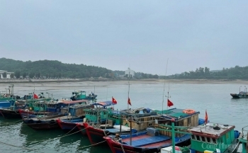 Hải Phòng, Quảng Ninh chuẩn bị phương án phòng tránh bão số 3