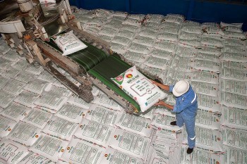 Giá ure tăng nhẹ, nhiều nhà máy ở châu Âu dừng sản xuất phân bón vì giá khí đốt tăng vọt