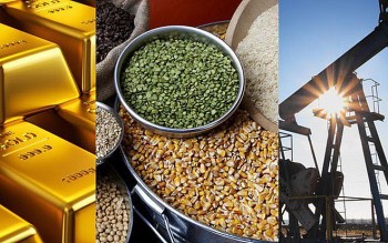 Thị trường hàng hoá ngày 30/8: Chịu tác động trái chiều từ yếu tố vĩ mô và cung cầu