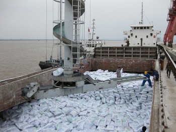 Kiến nghị không tăng thuế xuất khẩu đối với mặt hàng phân bón DAP