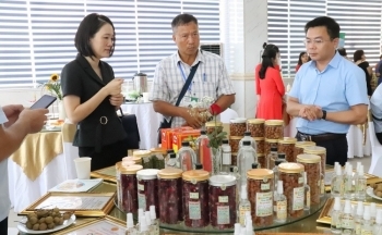 Quảng Ninh tổ chức kết nối tiêu thụ sản phẩm OCOP