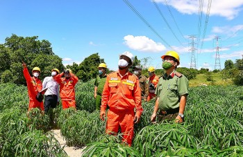 EVN đã cung cấp điện an toàn trong dịp lễ 2/9