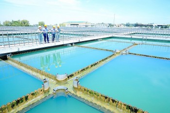 Chứng khoán ngày 9/9: Tin mới nhất về các cổ phiếu DNW, SLS, ELC, VTP