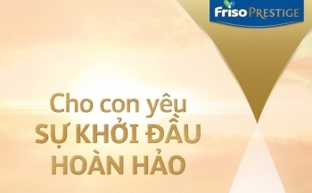Friso Prestige với công thức dinh dưỡng từ “Lớp sữa vàng tăng cường miễn dịch”