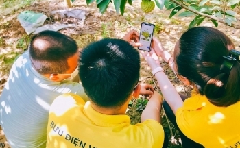 Đưa nông sản lên sàn thương mại điện tử, hỗ trợ người dân giải quyết đầu ra