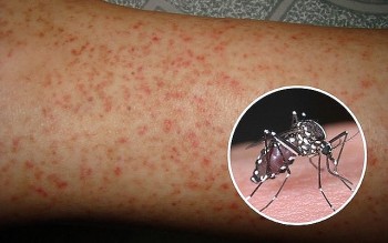 Miền Bắc dự báo đón đợt không khí lạnh đầu tiên vào cuối tháng 9 này
