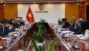 Thứ trưởng Bộ Công Thương Đỗ Thắng Hải làm việc với Trợ lý Bộ trưởng Thương mại Hoa Kỳ