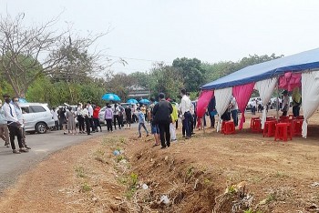 Nở rộ