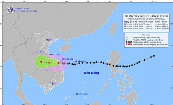 Bão số 4 đổ bộ, nhiều nơi tại Trung Trung Bộ mất điện