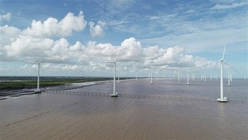 Bộ Tài nguyên và Môi trường đề xuất tạm dừng thẩm định khảo sát điện gió ngoài khơi