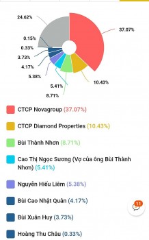 Bán cổ phiếu Novaland (NVL), vợ chồng ông Bùi Thành Nhơn vẫn nắm quyền chi phối