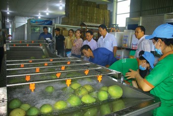 Tỉnh Đồng Tháp: 3 giải pháp hỗ trợ sản phẩm công nghiệp nông thôn tiêu biểu