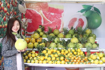 Tiêu thụ nông sản: Bài học từ Bắc Giang