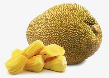 Không phải ai cũng ăn được mít