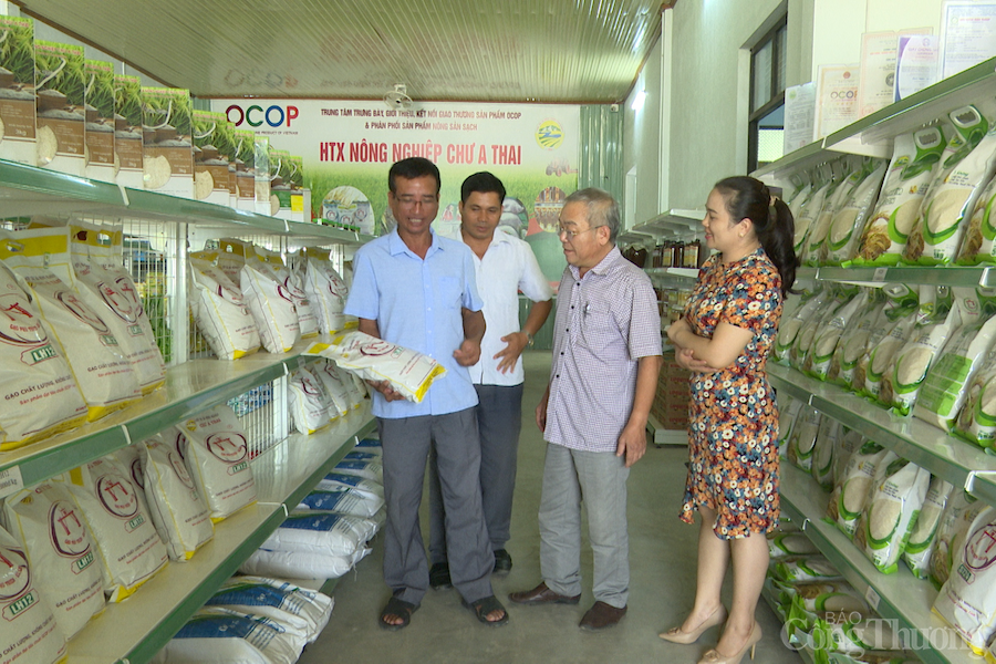 Gia Lai: Nâng cao chất lượng hoạt động kinh tế tập thể, hợp tác xã trong bối cảnh mới