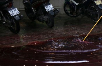 Sở Tài nguyên - Môi trường TP. Hồ Chí Minh: Chưa tìm ra nguyên nhân vụ nước đỏ tràn ra đường