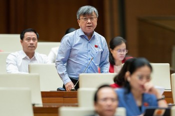 Đại biểu Quốc hội: 