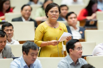 Đại biểu Quốc hội 