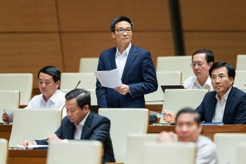 Phó Thủ tướng Vũ Đức Đam: 