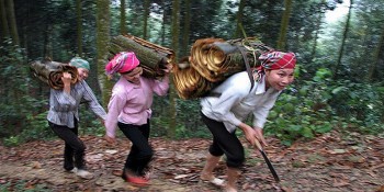 Điểm sáng phong trào phụ nữ giảm nghèo bền vững ở vùng cao huyện Bắc Hà