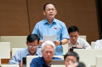 Đại biểu Quốc hội: 