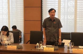 Đại biểu Quốc hội: 