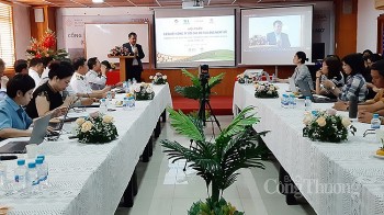 Liên kết công ty với các hộ tại làng nghề gỗ: Giảm rủi ro và thúc đẩy phát triển bền vững