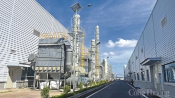 Jinko Solar đề nghị lắp hệ thống điện mặt trời áp mái trong khu công nghiệp Sông Khoai (Quảng Ninh)